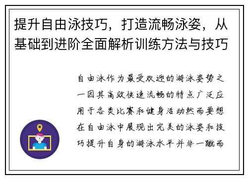 提升自由泳技巧，打造流畅泳姿，从基础到进阶全面解析训练方法与技巧